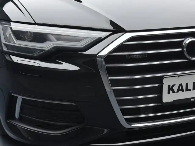 Audi A6 Avant view 10