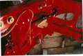 Alfa Romeo Giulietta SPIDER 1300 VELOCE '57 PASSO CORTO ASI!!!!!! Červená - thumbnail 11