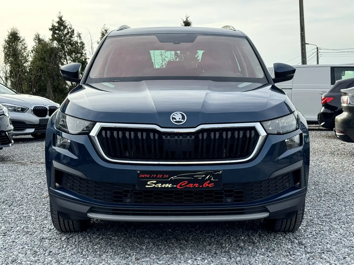Skoda Kodiaq Kodiaq 2.0 CR TDi 4x4 DSG Blauw - 2