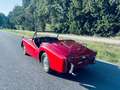 Triumph TR3 TR3 Rosso - thumbnail 35