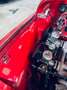 Triumph TR3 TR3 Rosso - thumbnail 24