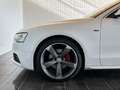 Audi A5 Coupe 3.0 TDI quattro S-Line NAVI*ACC*KAMERA*XENON Wit - thumbnail 10