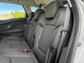 Renault Scenic Scénic Blue dCi 120 CV Sport Edition 2020 Argento - thumbnail 12