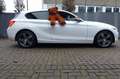 BMW 118 i Sport Line 1.Hand Scheckheft Weiß - thumbnail 14