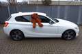 BMW 118 i Sport Line 1.Hand Scheckheft Weiß - thumbnail 40