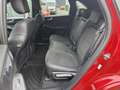 Ford Kuga 2.5 PHEV ST-Line X Rouge - thumbnail 12