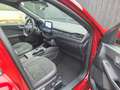 Ford Kuga 2.5 PHEV ST-Line X Rouge - thumbnail 22