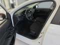 Fiat Tipo Kombi MY24 HYBRID Sonderaktion Abverkauf Wit - thumbnail 8