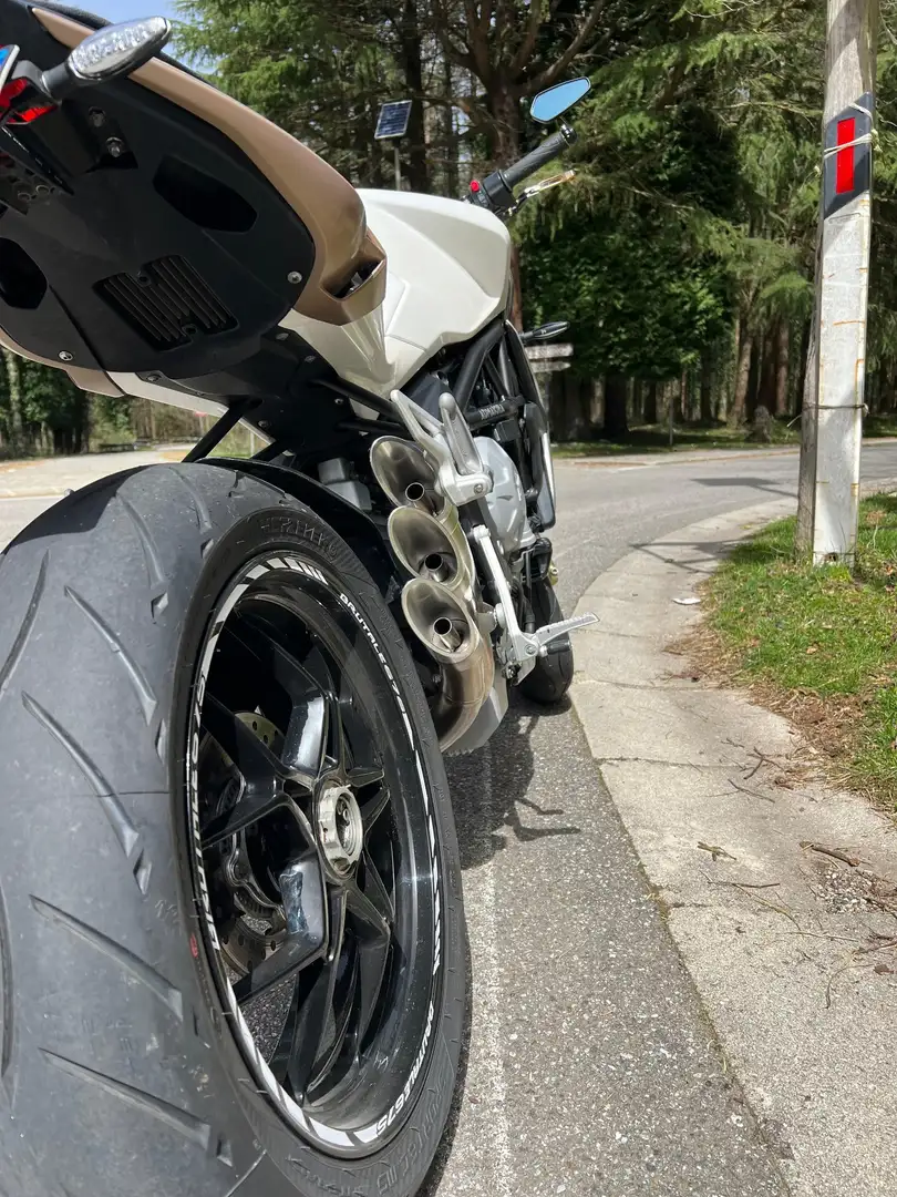 MV Agusta Brutale 675 elettronica base Alb - 2