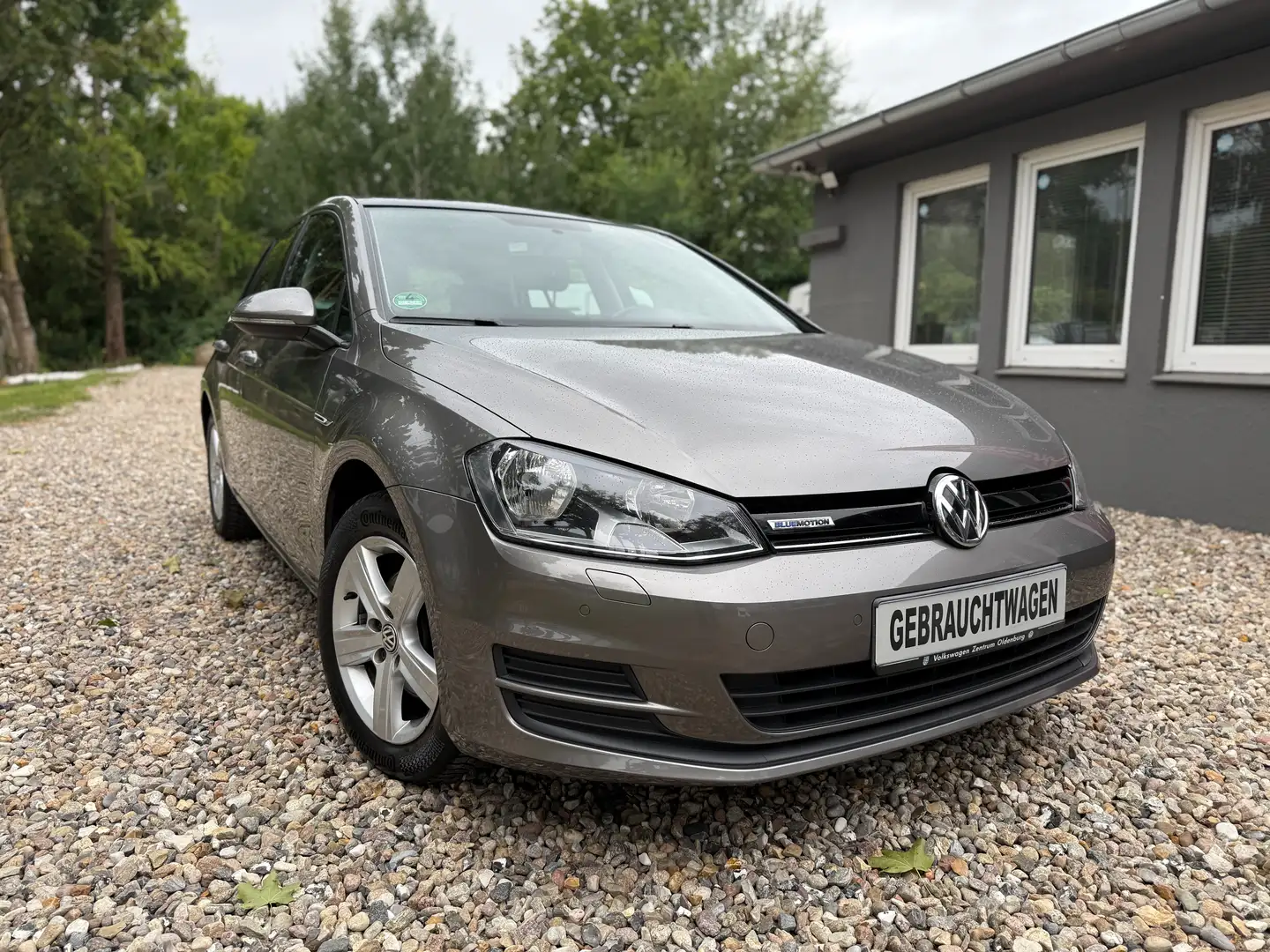 Volkswagen Golf Comfortline BlueMotion TGI/NAVI/LEDER/KAMERA Gris - 1