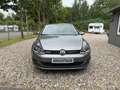 Volkswagen Golf Comfortline BlueMotion TGI/NAVI/LEDER/KAMERA Gris - thumbnail 3