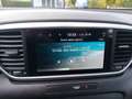 Kia Sportage 1.6 CRDI 136 CV DCT7 2WD Mild Hybrid Business Clas Bianco - thumbnail 14