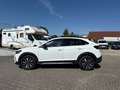 Volkswagen Taigo Goal 1.0 TSI DSG Klima Navi Rückfahrkamera Blanc - thumbnail 2
