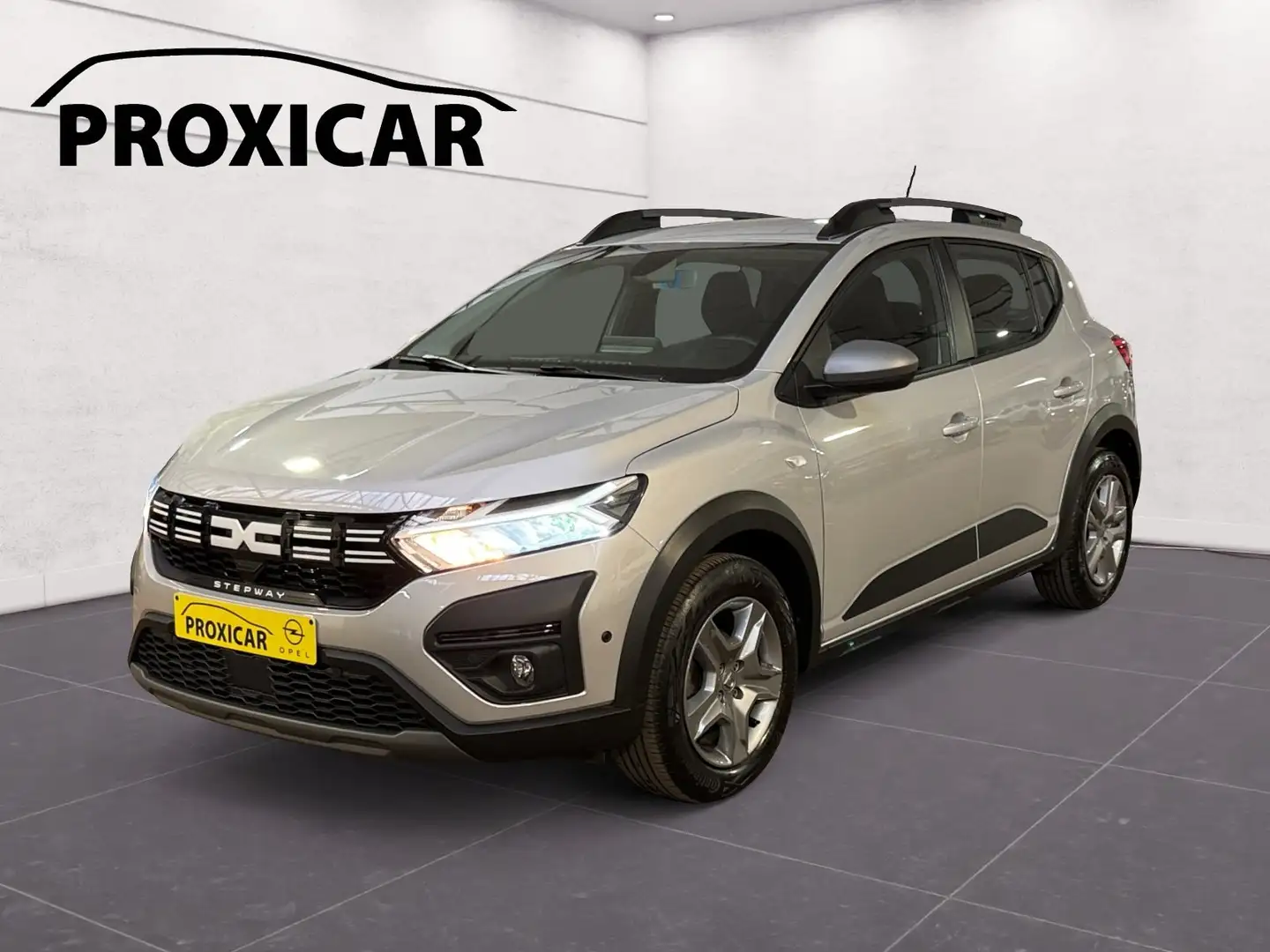 Dacia Sandero Stepway 1.0 TCe 91cv Gris Cruise*Camera*Carplay Gris - 1