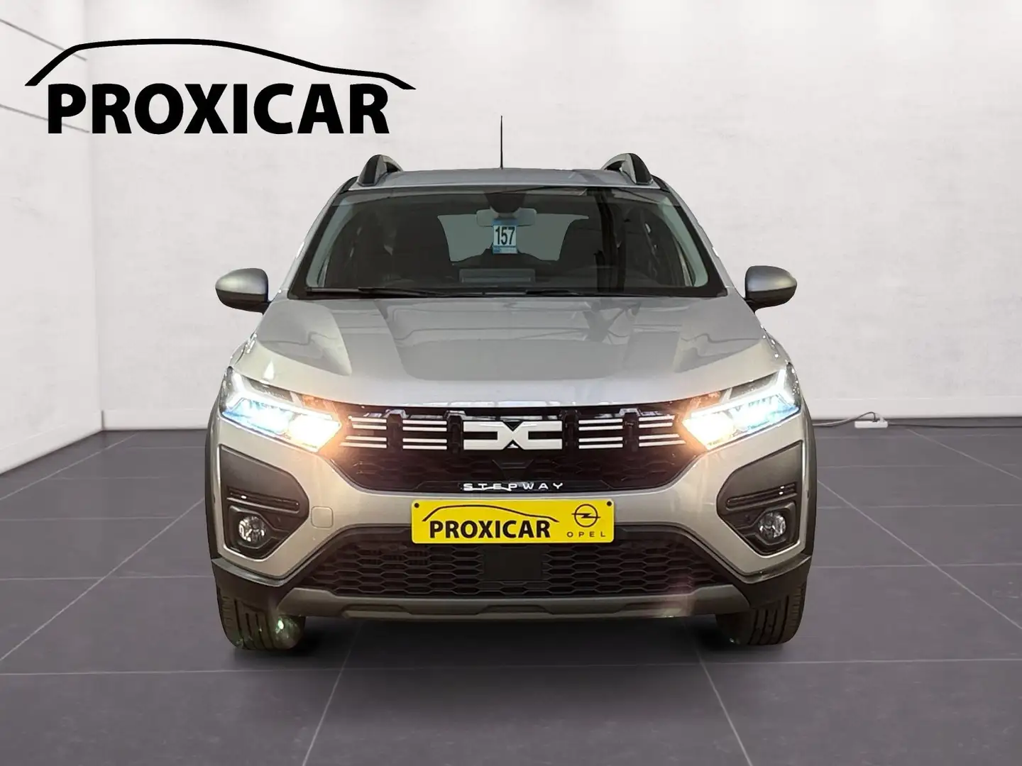 Dacia Sandero Stepway 1.0 TCe 91cv Gris Cruise*Camera*Carplay Gris - 2
