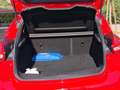 Ford Focus 1.5 Ecoboost ST Line 182 Rojo - thumbnail 8