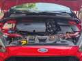 Ford Focus 1.5 Ecoboost ST Line 182 Rojo - thumbnail 9