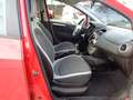 Fiat Punto More**1-Hand, Top Zustand Rot - thumbnail 12
