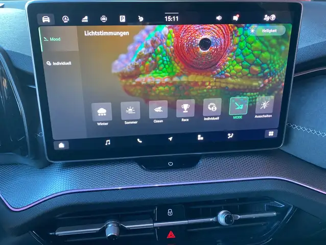 Skoda Kodiaq view 11