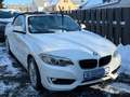BMW 218 d Advantage Bi–Xenon/Navi/Temp./Sitzh. Weiß - thumbnail 2
