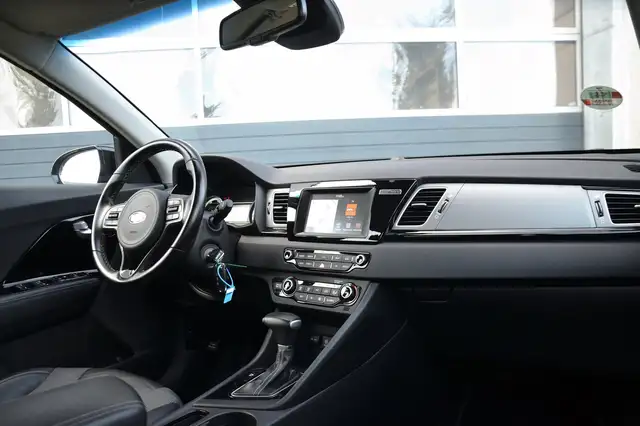 Kia Niro view 11