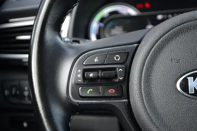 Kia Niro view 20