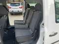 Volkswagen Caddy 2.0 TDI 122CV 4Motion (4X4)  *AUTOVETTURA 5 Posti Bianco - thumbnail 13