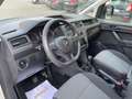 Volkswagen Caddy 2.0 TDI 122CV 4Motion (4X4)  *AUTOVETTURA 5 Posti Bianco - thumbnail 9
