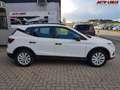 SEAT Arona Reference 1.0 TSI 70 kW (95 PS), Schalt. 5-Gang... Weiß - thumbnail 6