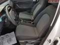 SEAT Arona Reference 1.0 TSI 70 kW (95 PS), Schalt. 5-Gang... Weiß - thumbnail 9