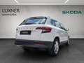 Skoda Karoq 4x4 Ambition TDI DSG Weiß - thumbnail 4