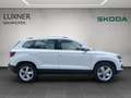 Skoda Karoq 4x4 Ambition TDI DSG Weiß - thumbnail 5