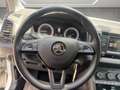 Skoda Karoq 4x4 Ambition TDI DSG Weiß - thumbnail 9