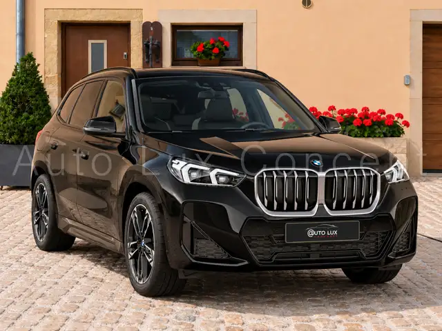 BMW X1 view 2