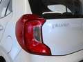 Kia Picanto 1.0 DPi Concept Gris - thumbnail 12