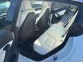 Tesla Model 3 Standard Plus 8-fach PANO LEDER ASSISTENZ Weiß - thumbnail 7