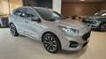 Ford Kuga 2022 ST-LINE X 1.5 ecoblue 120CV C-AUT - PERFETTA Grau - thumbnail 3