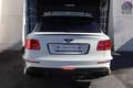 Bentley Bentayga 6.0 Blanc - thumbnail 6