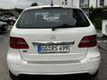 Mercedes-Benz B 200 B 200 CDI DPF Autotronic Blanc - thumbnail 2