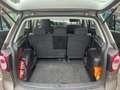 Volkswagen Golf Plus Golf Plus 1.6 CR TDi Trendline BMT DPF - thumbnail 8