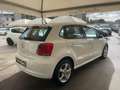 Volkswagen Polo Polo V 2009 5p 1.6 tdi Comfortline Bianco - thumbnail 6