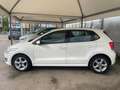 Volkswagen Polo Polo V 2009 5p 1.6 tdi Comfortline Bianco - thumbnail 5