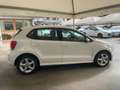 Volkswagen Polo Polo V 2009 5p 1.6 tdi Comfortline Bianco - thumbnail 7