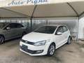 Volkswagen Polo Polo V 2009 5p 1.6 tdi Comfortline Bianco - thumbnail 1