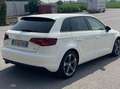 Audi A3 A3 Sportback 1.6 tdi Ambiente Bianco - thumbnail 2