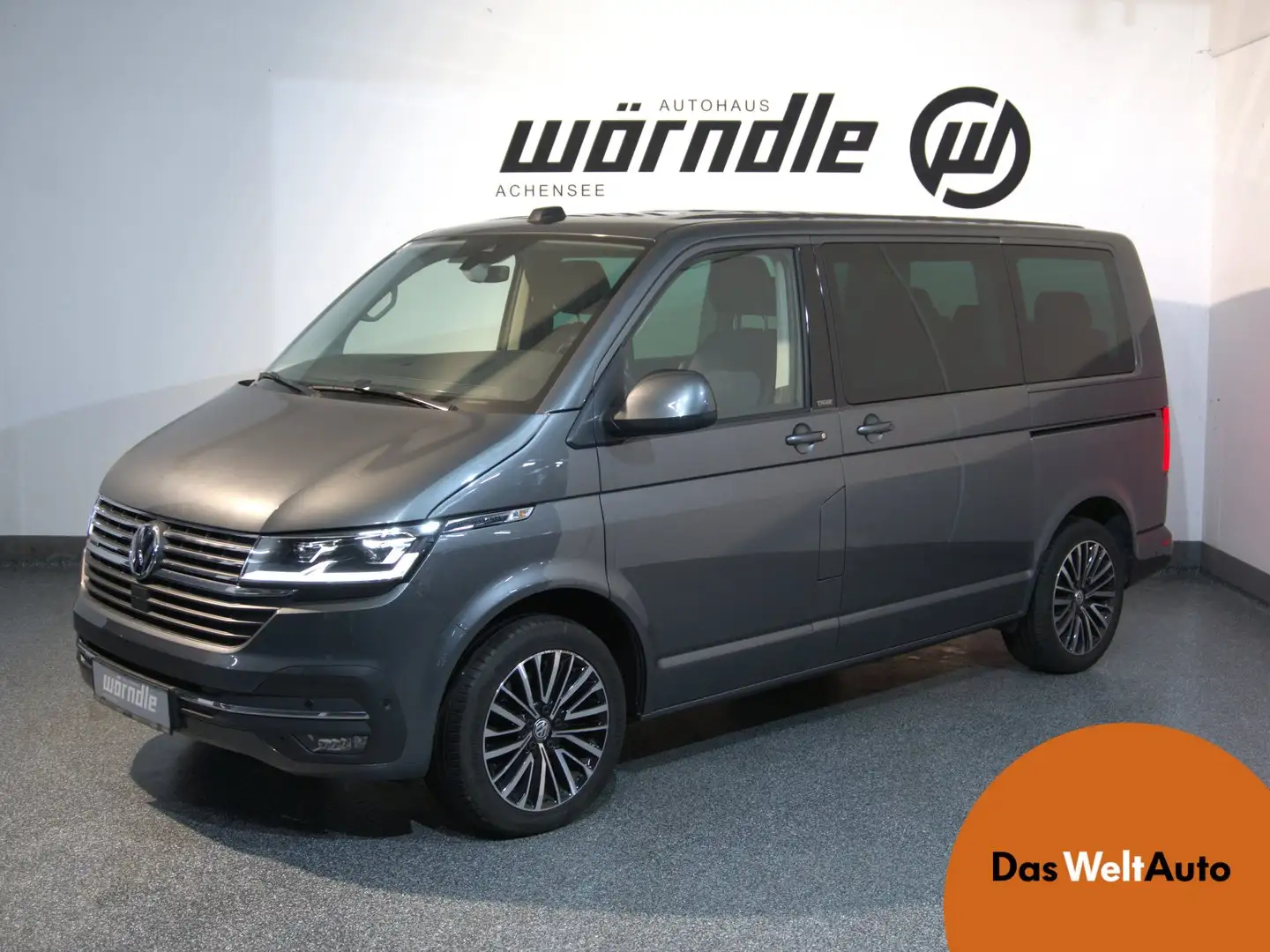 Volkswagen T6.1 Multivan VW T6.1 Multivan Cruise TDI 4MOTION Gris - 1