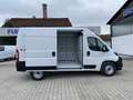 Fiat Ducato KASTENWAGEN 35 L2H2 140 AT Weiß - thumbnail 3