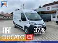 Fiat Ducato KASTENWAGEN 35 L2H2 140 AT Weiß - thumbnail 1