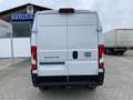 Fiat Ducato KASTENWAGEN 35 L2H2 140 AT Alb - thumbnail 6