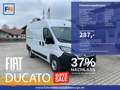 Fiat Ducato KASTENWAGEN 35 L2H2 140 AT Alb - thumbnail 1